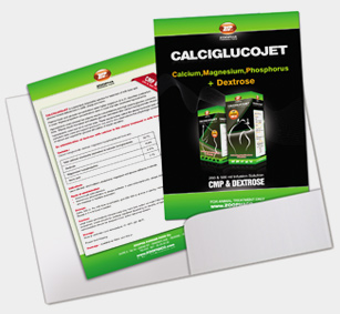 Calciglucojet Catalogue